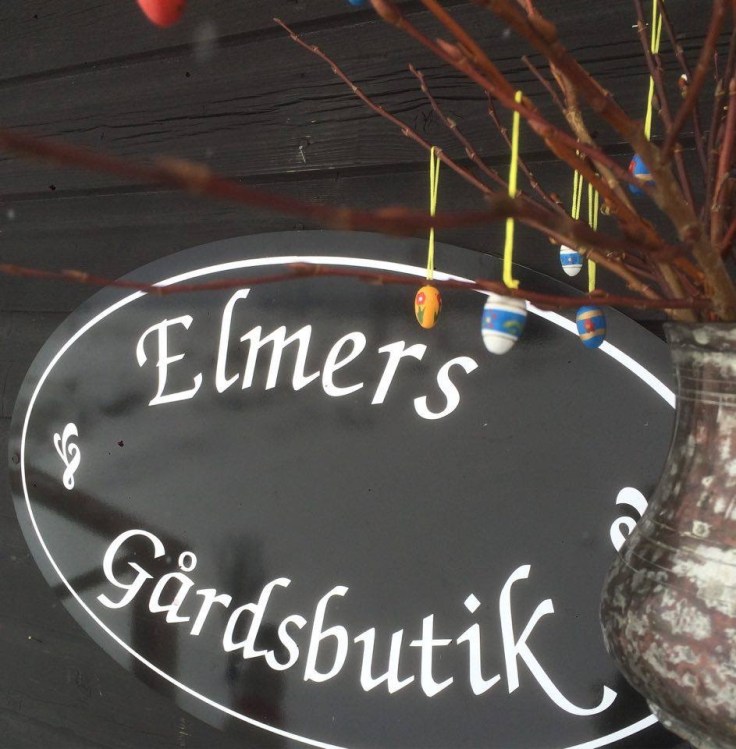 12884549_1181583825215741_131242833_n